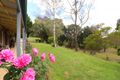 Property photo of 5 Chandler Lane Glencoe NSW 2365