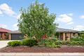 Property photo of 33 Rag Holmes Street Macgregor ACT 2615