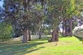 Property photo of 51 Wattle Street Fishermans Paradise NSW 2539
