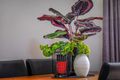 Property photo of 8 Watts Close Singleton Heights NSW 2330