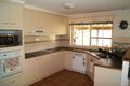 Property photo of 24 Berghofer Drive Kepnock QLD 4670