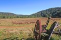 Property photo of 983 Murrays Run Road Murrays Run NSW 2325