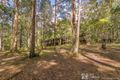 Property photo of 7 Daintree Court Austinville QLD 4213
