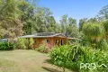 Property photo of 247 Davis Road Green Pigeon NSW 2474