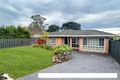 Property photo of 4 Kuch Place Kariong NSW 2250