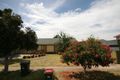 Property photo of 24 Lancaster Street Lockleys SA 5032