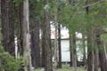 Property photo of LOT 32/33 Forest Glen Road Limeburners Creek NSW 2324