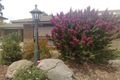 Property photo of 11 Dawes Drive Gawler East SA 5118