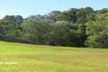 Property photo of 20 William Road Eumundi QLD 4562