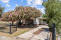 Property photo of 64 Stuart Road South Plympton SA 5038