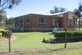 Property photo of 369 Kabra Road Kabra QLD 4702