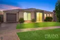Property photo of 46 Chlorinda Road Tarneit VIC 3029