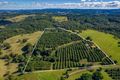 Property photo of 519 Cross Road Numulgi NSW 2480