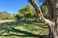 Property photo of 20 Pownall Crescent Margate QLD 4019