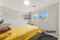 Property photo of 14 Cycads Way Currans Hill NSW 2567