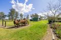 Property photo of 164 Joiners Road Newmerella VIC 3886
