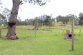Property photo of 1399 The Lakes Way Darawank NSW 2428