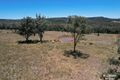 Property photo of 1439 Wandobah Road Gunnedah NSW 2380