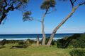 Property photo of 3 Freycinet Street Waratah Bay VIC 3959