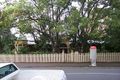 Property photo of 51/287 Wickham Terrace Spring Hill QLD 4000