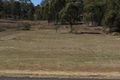 Property photo of 5784 Toowoomba-Karara Road Leyburn QLD 4365