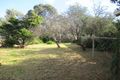 Property photo of 33 Wheatley Road McKinnon VIC 3204