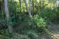 Property photo of 570 Coorooman Creek Road Cawarral QLD 4702