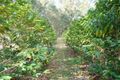 Property photo of 16 Yellow Button Close Warner QLD 4500