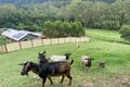 Property photo of 533A Mount Brisbane Road Mount Pleasant QLD 4521