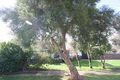 Property photo of 12 Rex Avenue Klemzig SA 5087