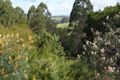 Property photo of 69 Tallowood Road Possum Creek NSW 2479