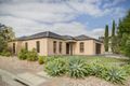 Property photo of 8 Pinnacle Crescent Flagstaff Hill SA 5159