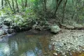 Property photo of LOT 220 Comboyne Road Byabarra NSW 2446