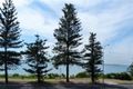 Property photo of 3/113 The Grand Parade Brighton-Le-Sands NSW 2216