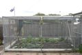 Property photo of 27 Macarthur Road Elderslie NSW 2570
