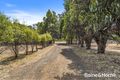 Property photo of 60 Boyle Street Triabunna TAS 7190