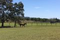 Property photo of 179 Toolborough Road Yandina Creek QLD 4561