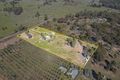 Property photo of 239 Segafredos Lane Graytown VIC 3608