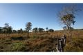 Property photo of 767 Greenhill Road Ilbilbie QLD 4738