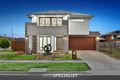 Property photo of 3 Marshflower Crescent Clyde North VIC 3978