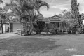 Property photo of 8 Merganser Place Forest Lake QLD 4078