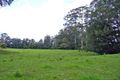 Property photo of 377 Mungay Creek Road Mungay Creek NSW 2440