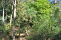 Property photo of 4 Corrong Close Umina Beach NSW 2257