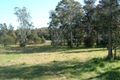 Property photo of 8 Sanderling Place Bawley Point NSW 2539