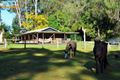 Property photo of 39 Springvale Road Eureka NSW 2480