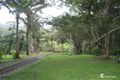Property photo of 28 Walnut Close Speewah QLD 4881
