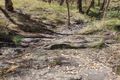Property photo of 1379 Bylong Valley Way Kandos NSW 2848