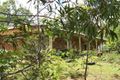 Property photo of 38 Flametree Court Cedar Grove QLD 4285