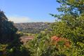 Property photo of 3/157 Victoria Road Bellevue Hill NSW 2023