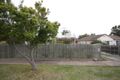 Property photo of 47 Shackleton Street Belmont VIC 3216